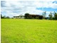 Wingham NSW 2429