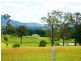 Wingham NSW 2429