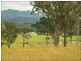 Wingham NSW 2429