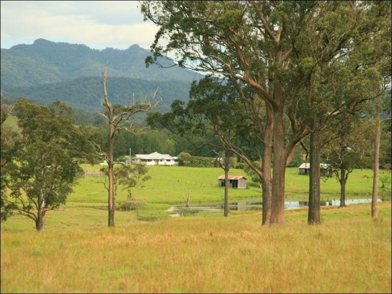 Wingham NSW 2429