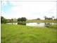 Wingham NSW 2429