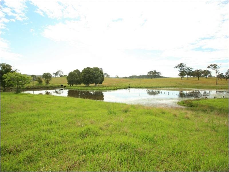 Wingham NSW 2429
