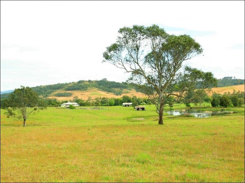 Wingham NSW 2429