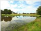 Wingham NSW 2429