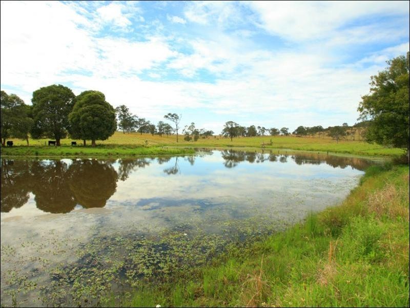Wingham NSW 2429