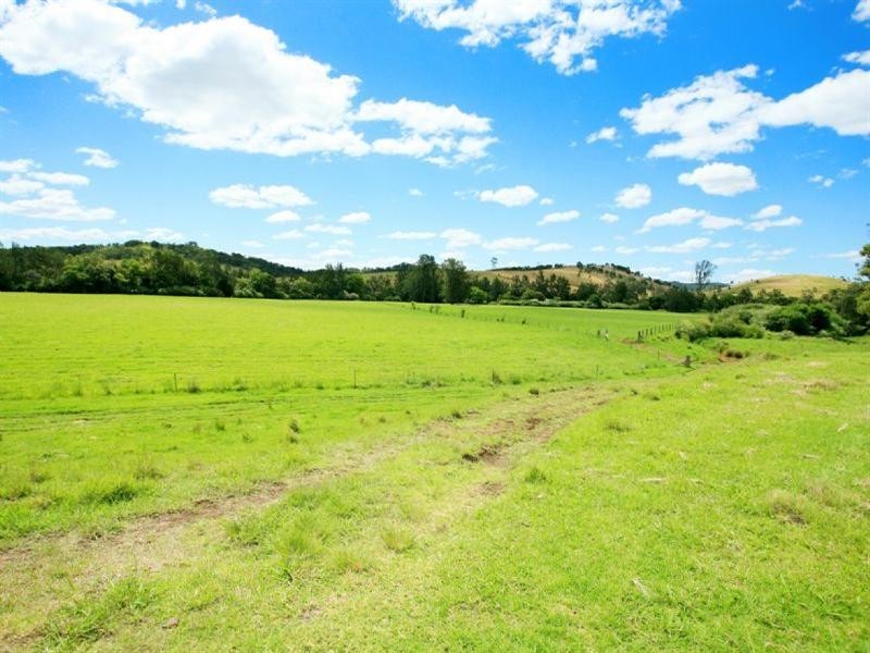 Wingham NSW 2429