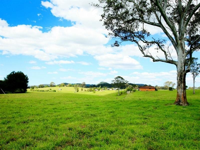 Wingham NSW 2429