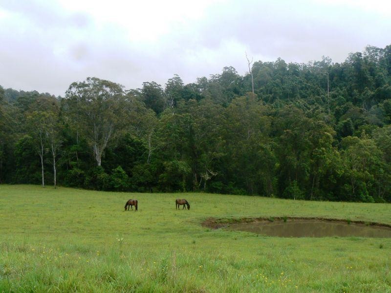 1309 Caparra Road, Wingham NSW 2429