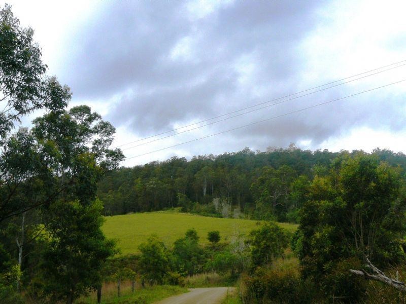 1309 Caparra Road, Wingham NSW 2429