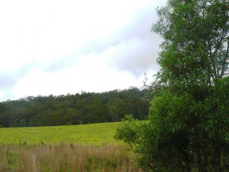 1309 Caparra Road, Wingham NSW 2429