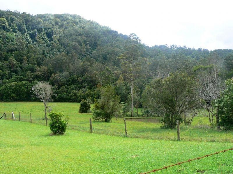 1309 Caparra Road, Wingham NSW 2429