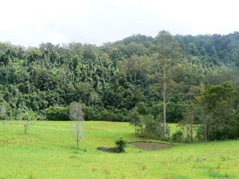 1309 Caparra Road, Wingham NSW 2429