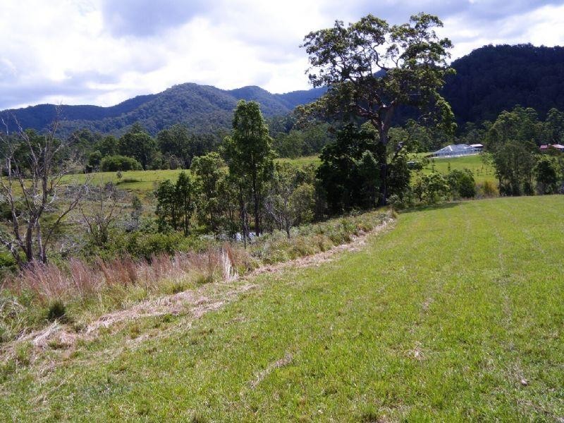 1309 Caparra Road, Wingham NSW 2429