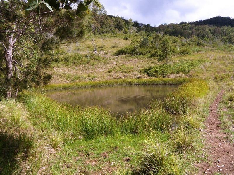 1309 Caparra Road, Wingham NSW 2429