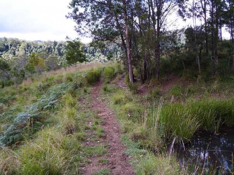 1309 Caparra Road, Wingham NSW 2429