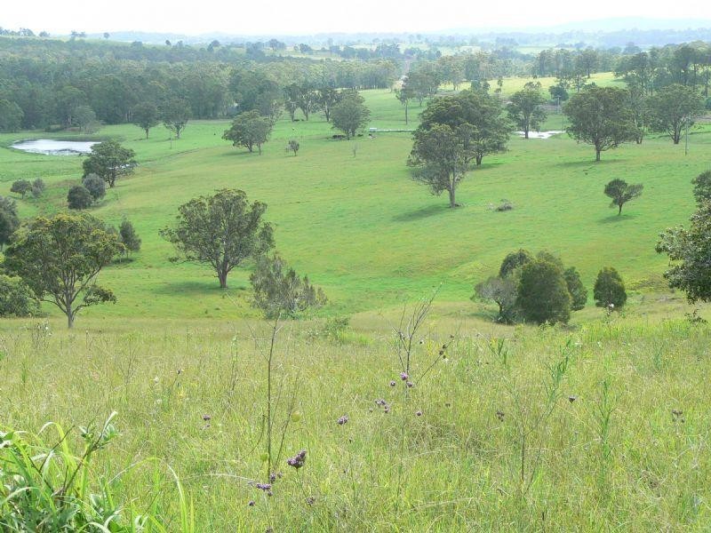 Killawarra NSW 2429