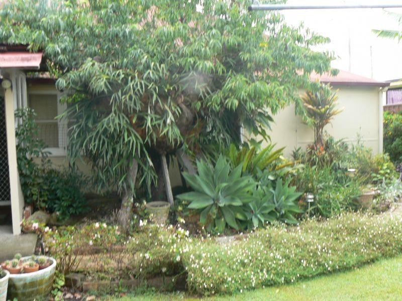 Taree NSW 2430