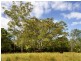 “Carinya” 916 Mooral Creek Road, Wingham NSW 2429