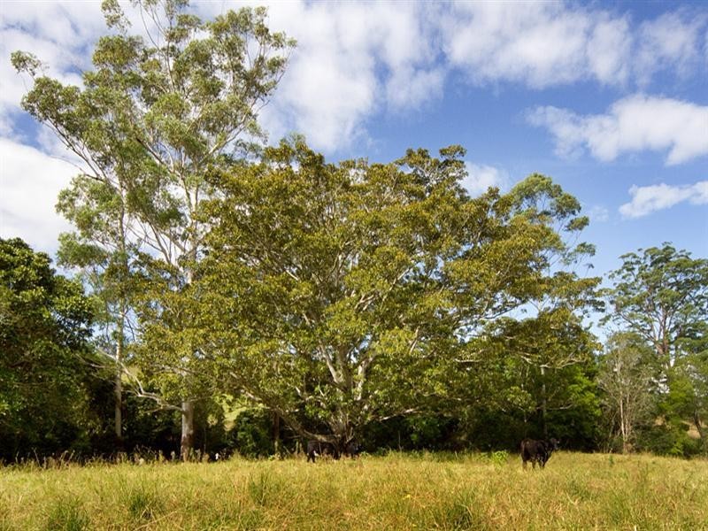 “Carinya” 916 Mooral Creek Road, Wingham NSW 2429