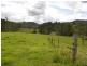 “Carinya” 916 Mooral Creek Road, Wingham NSW 2429