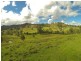 “Carinya” 916 Mooral Creek Road, Wingham NSW 2429