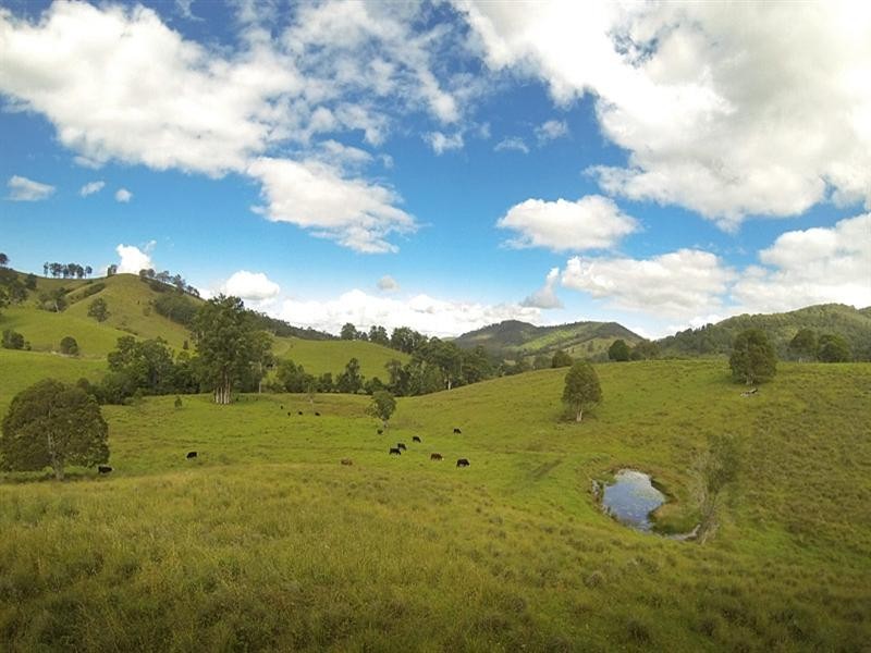 “Carinya” 916 Mooral Creek Road, Wingham NSW 2429