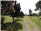 Mitchells Island NSW 2430