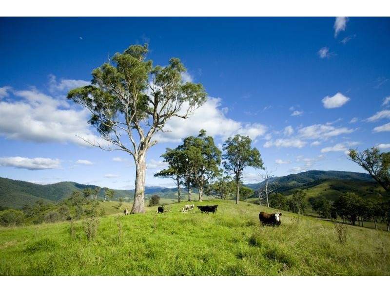 “Kerriki” Cells River Road, Number One NSW 2424