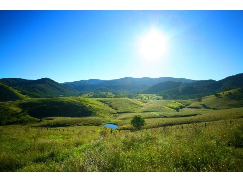 “Kerriki” Cells River Road, Number One NSW 2424