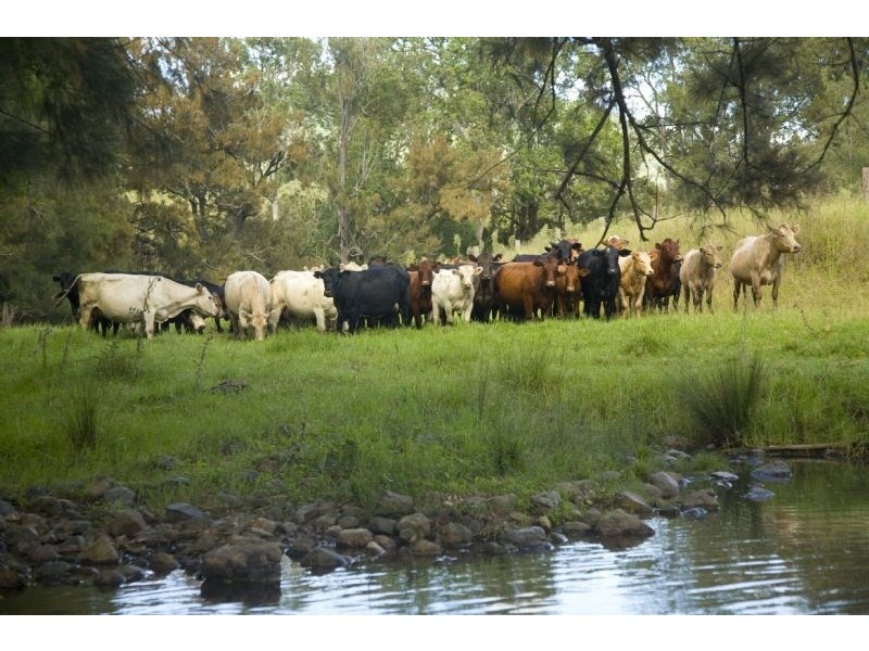 “Kerriki” Cells River Road, Number One NSW 2424