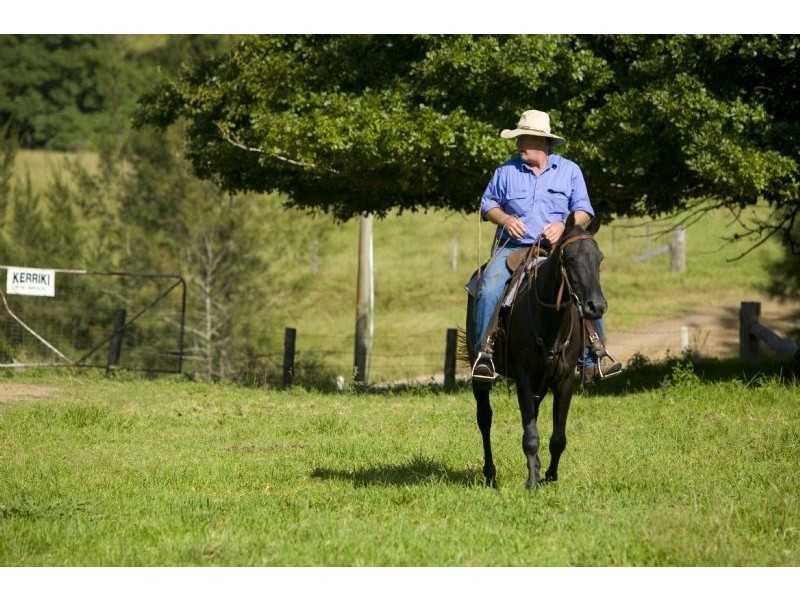 “Kerriki” Cells River Road, Number One NSW 2424