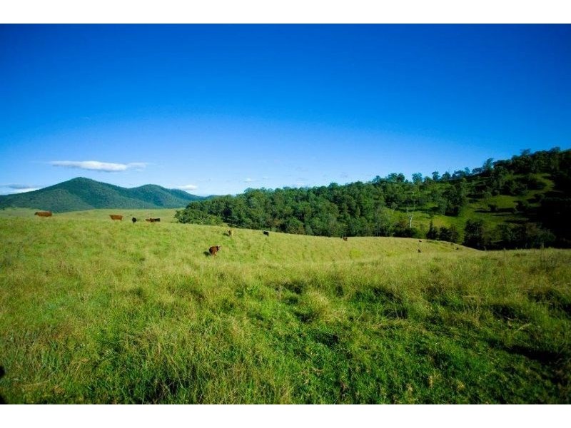 “Kerriki” Cells River Road, Number One NSW 2424