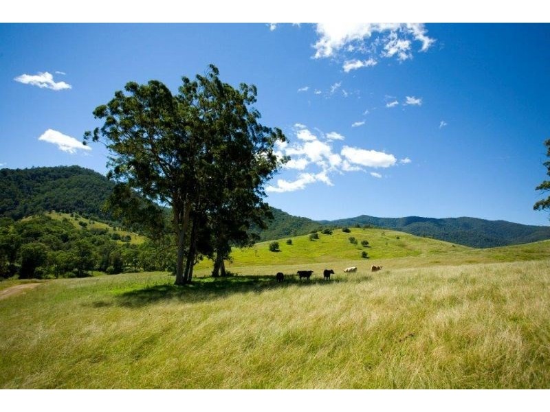 “Kerriki” Cells River Road, Number One NSW 2424