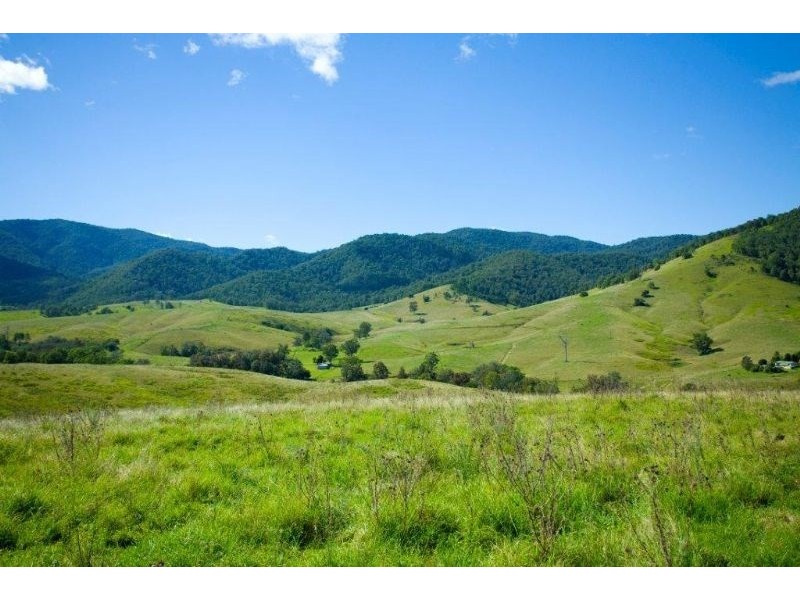 “Kerriki” Cells River Road, Number One NSW 2424