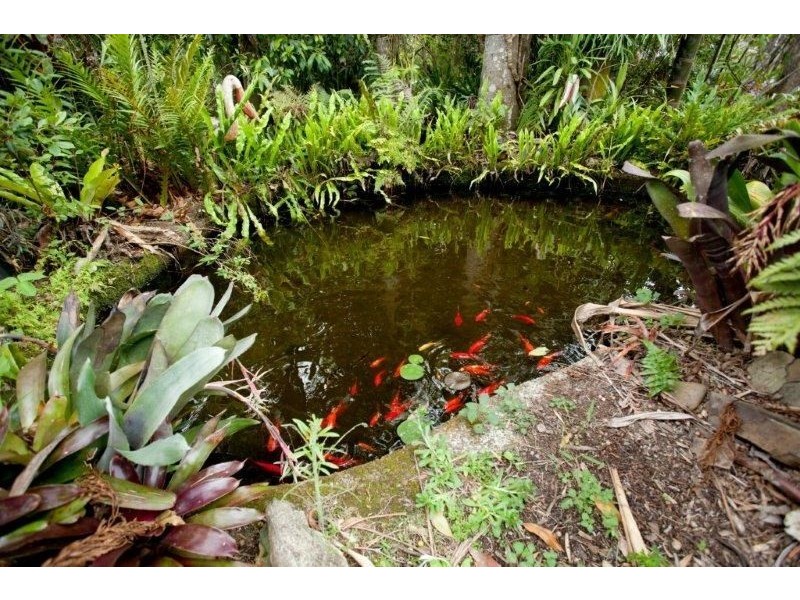 87 Old Bar Road, Taree NSW 2430