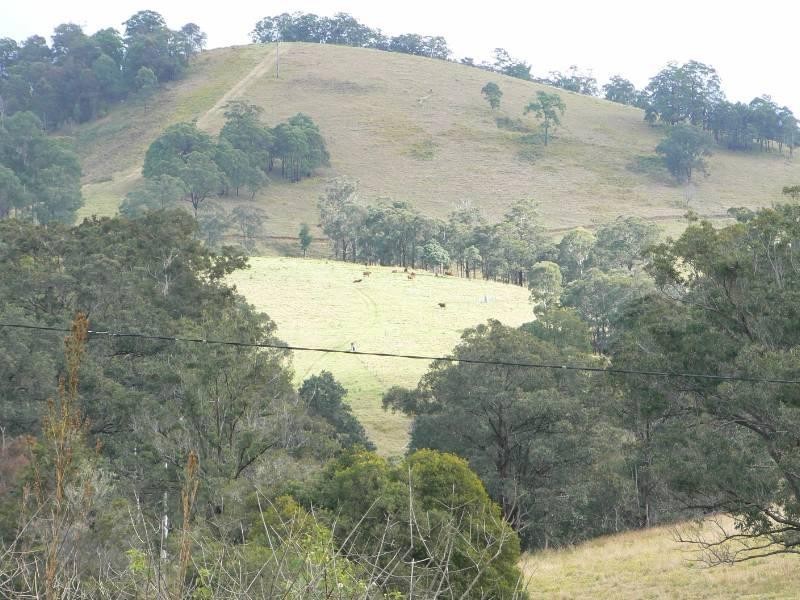 Wherrol Flat NSW 2429