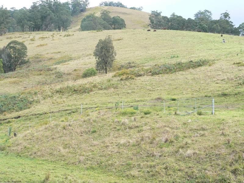 Wherrol Flat NSW 2429