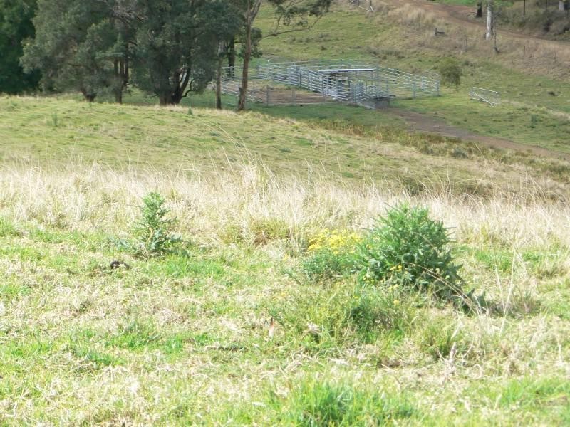 Wherrol Flat NSW 2429