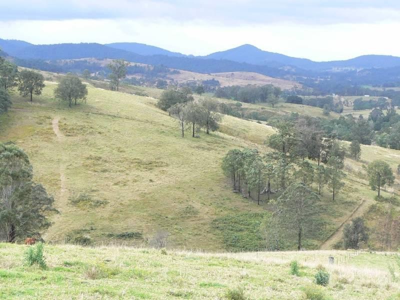 Wherrol Flat NSW 2429