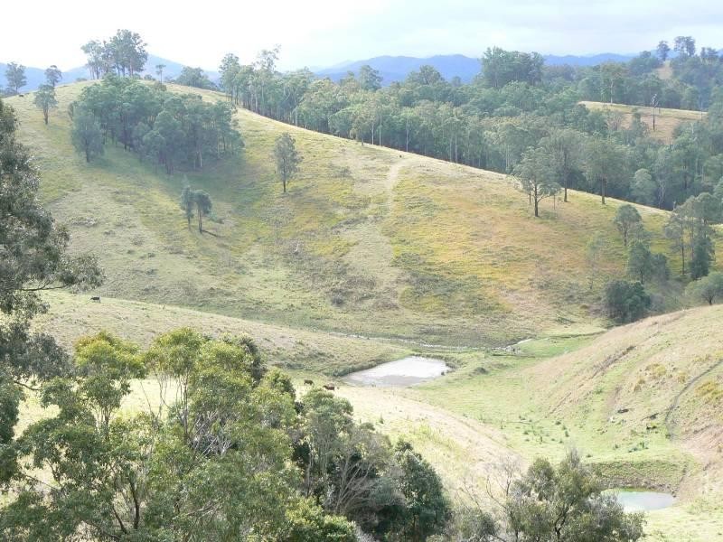 Wherrol Flat NSW 2429