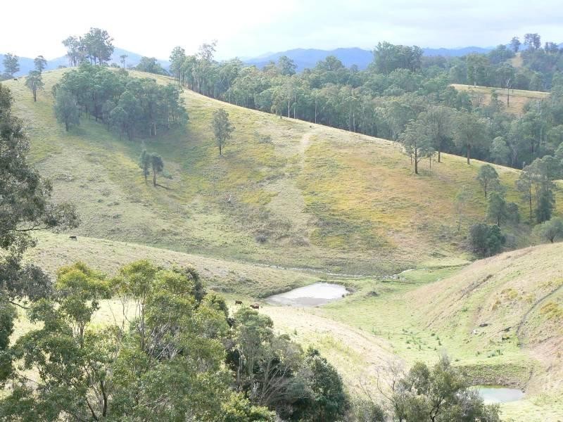 Wherrol Flat NSW 2429