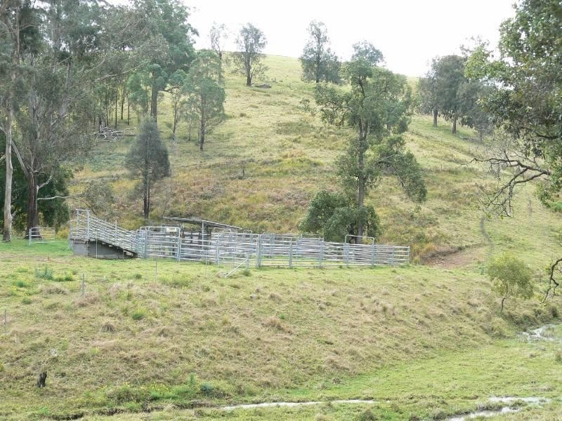 Wherrol Flat NSW 2429