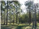 Wingham NSW 2429