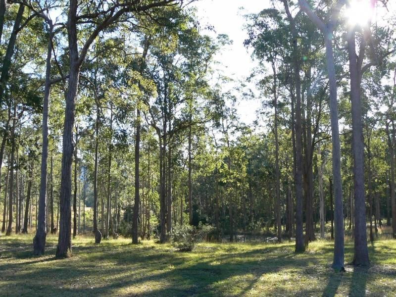 Wingham NSW 2429