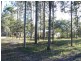 Wingham NSW 2429