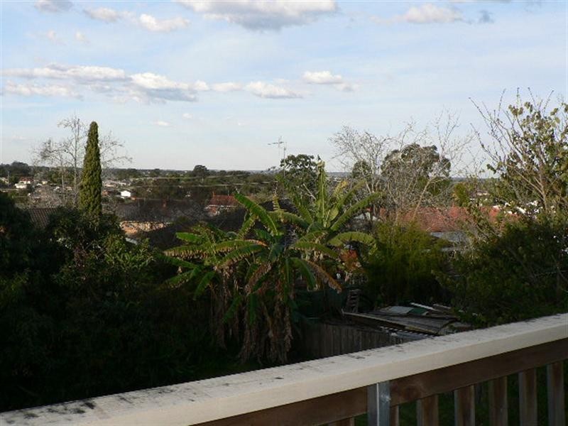Taree NSW 2430