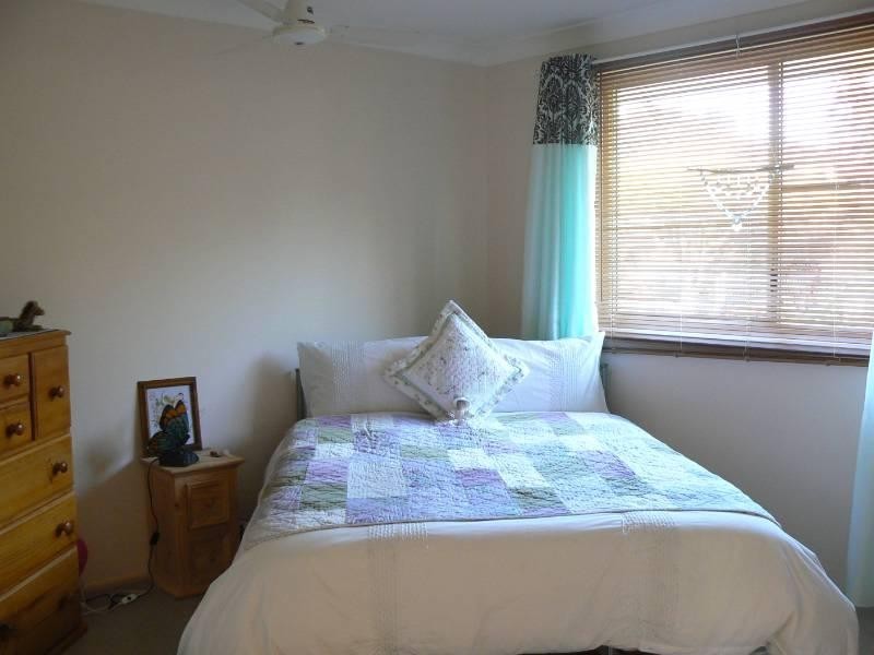 Wingham NSW 2429