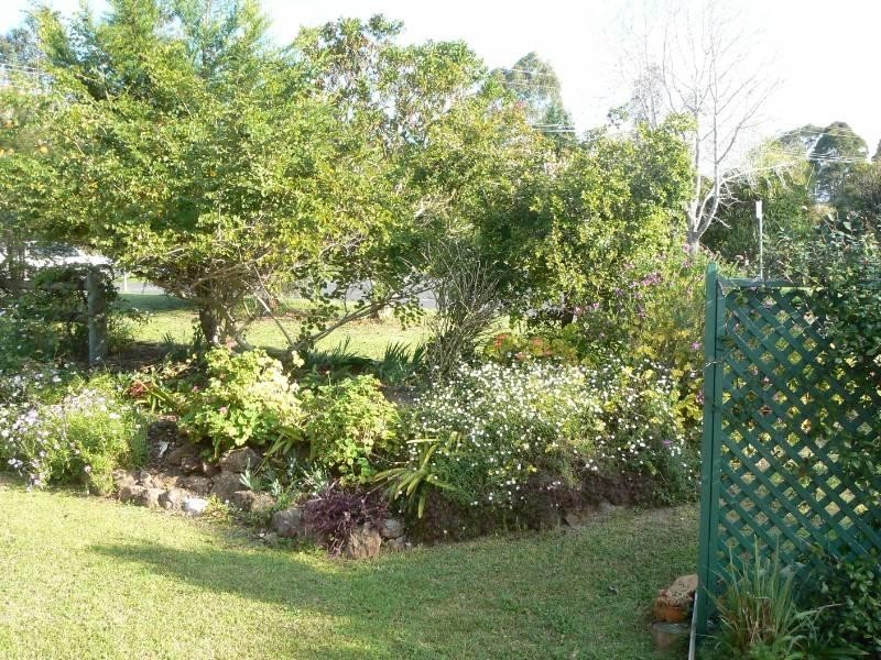 Wingham NSW 2429