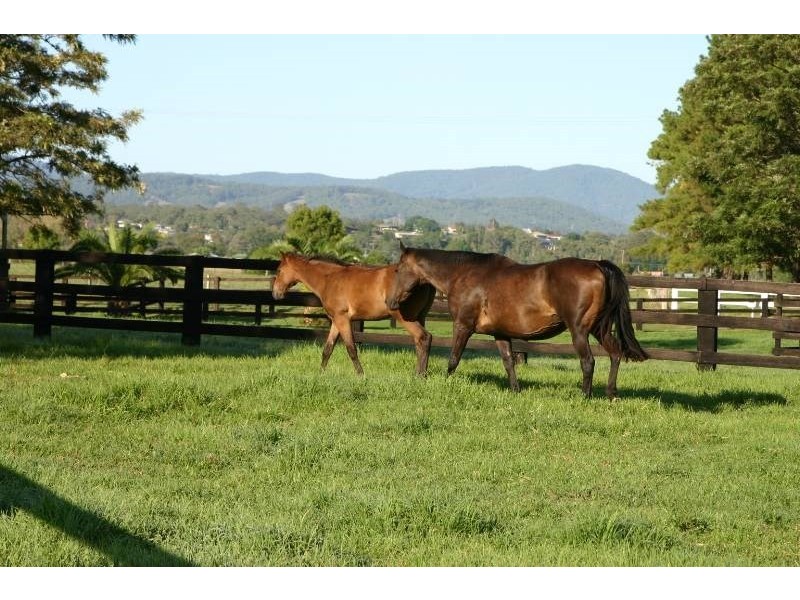 25 Hayes Lane, Taree NSW 2430