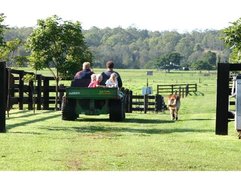 25 Hayes Lane, Taree NSW 2430